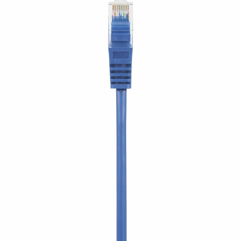 Un primo piano di un cavo di rete blu con un connettore blu, che mostra i dettagli del cavo e del connettore.