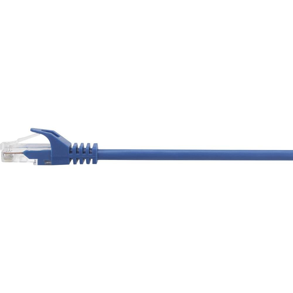 Cavo di rete blu con un connettore blu, su sfondo bianco.