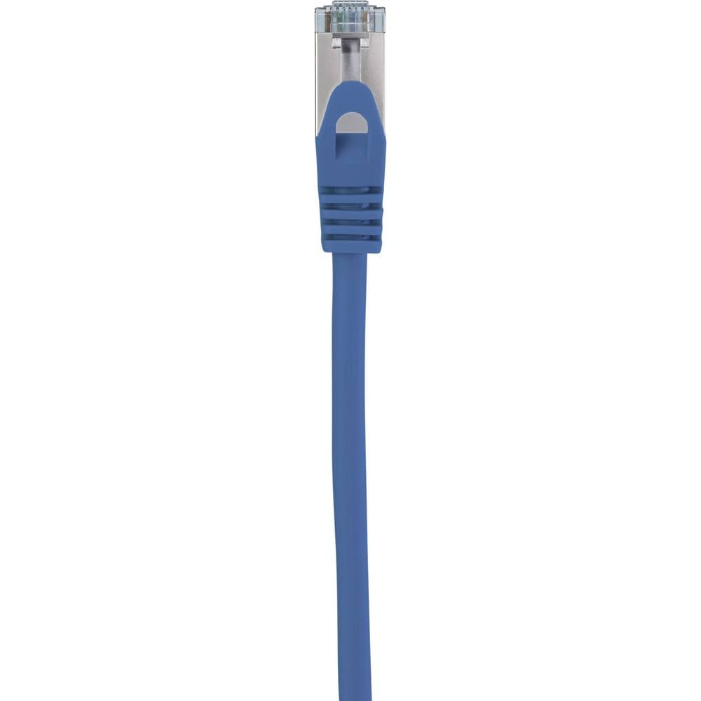 Cavo di rete blu con un connettore blu, su sfondo bianco.