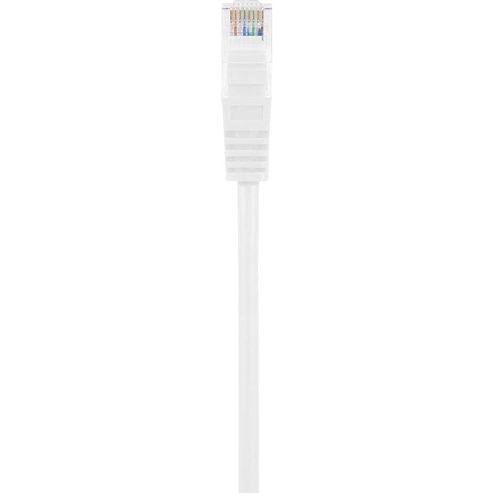 Un cavo di rete bianco con un connettore. Il cavo è dritto e posizionato verticalmente.