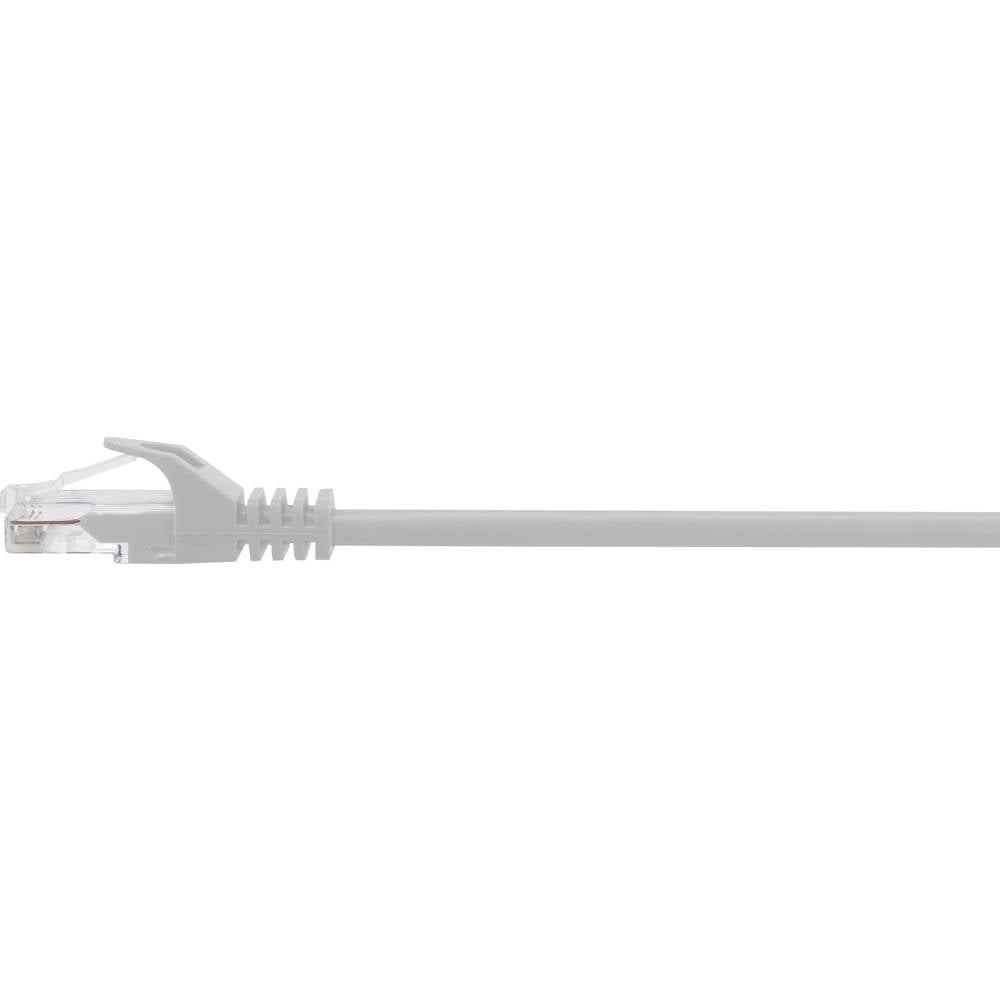 Cavo di rete bianco con connettore, sfondo bianco.