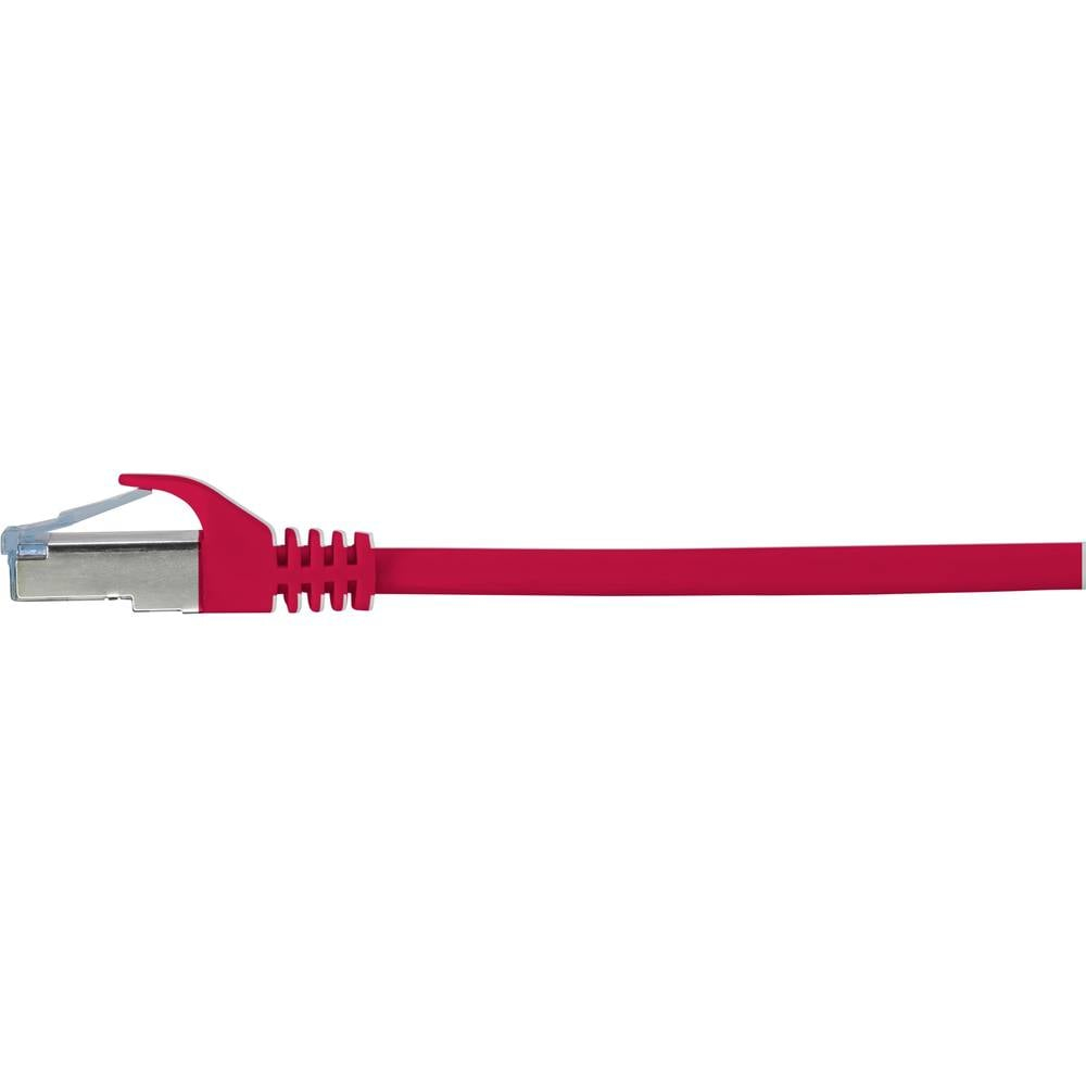 Cavo ethernet rosso con connettore. Sfondo bianco.