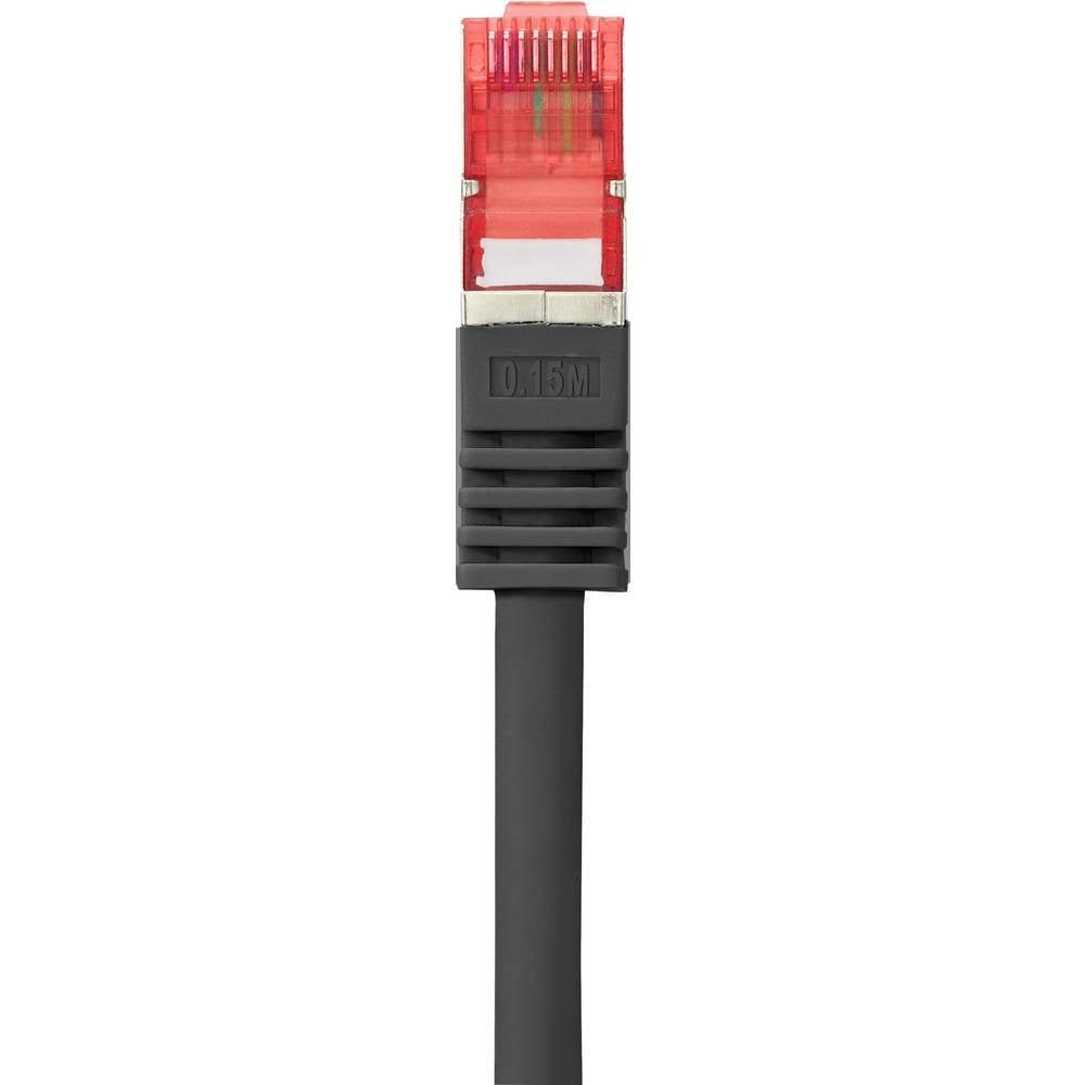 Cavo di rete grigio scuro con un connettore rosso, su sfondo bianco.