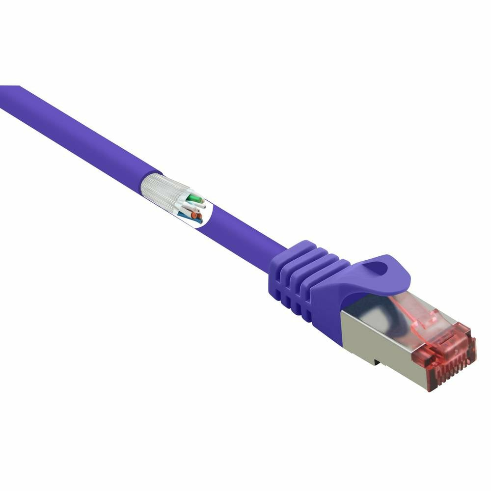 Un cavo di rete viola con un connettore viola e i suoi fili interni visibili.