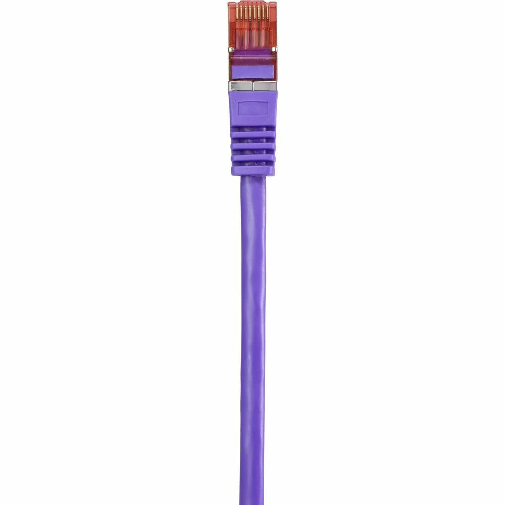 Cavo Ethernet viola, connettore RJ45, sfondo bianco.