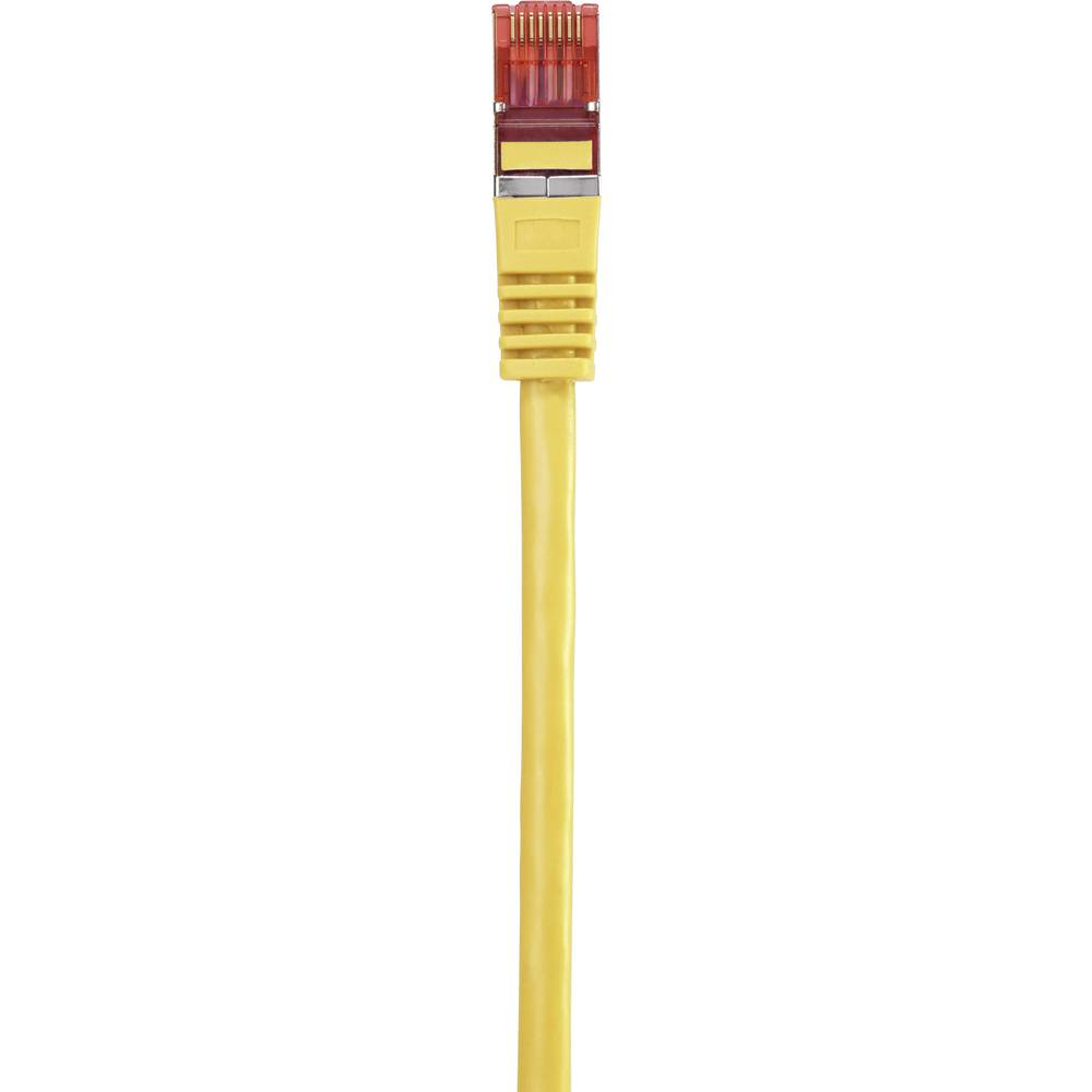 Cavo ethernet giallo con connettore trasparente su sfondo bianco.