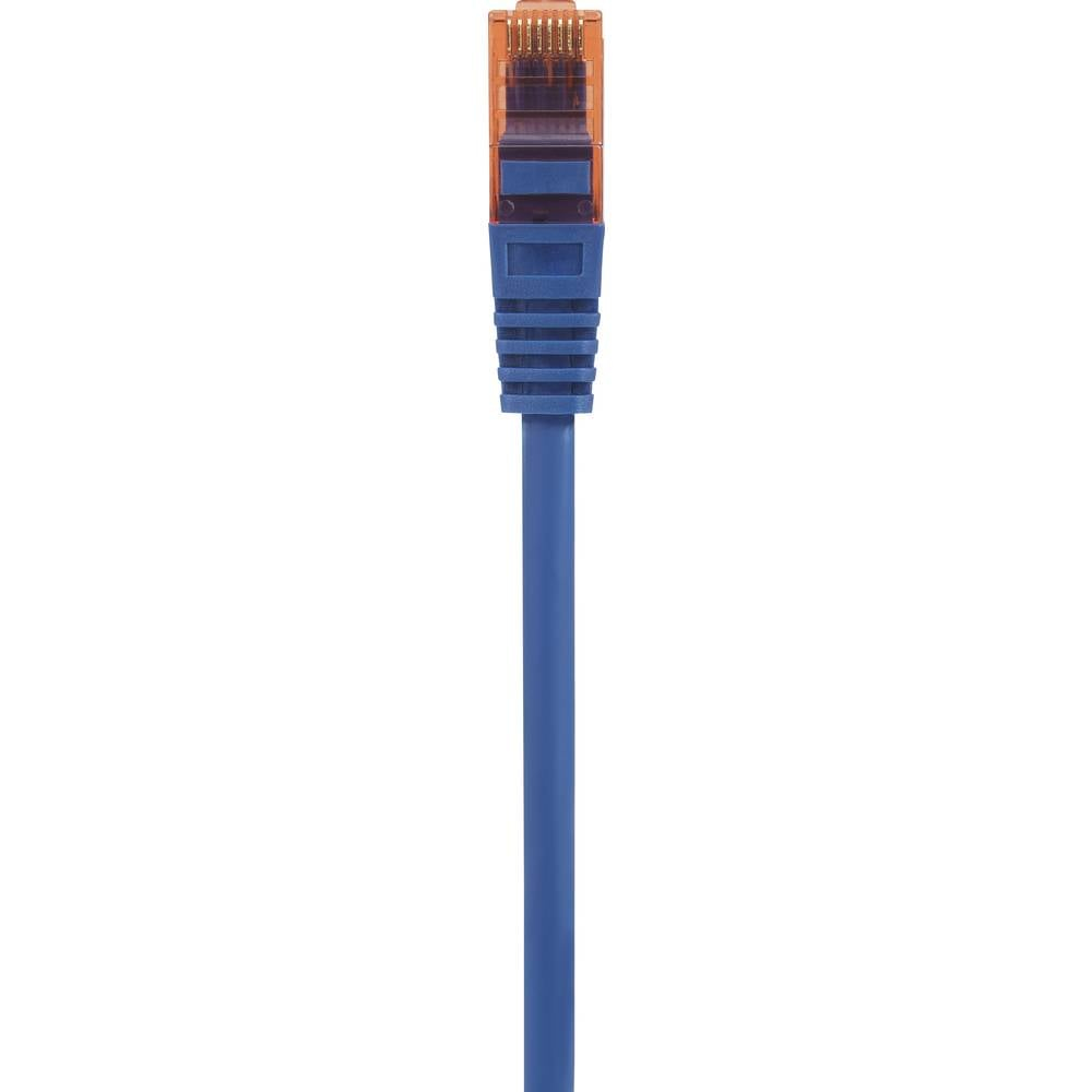 Un cavo di rete blu con un connettore trasparente blu e arancione.
