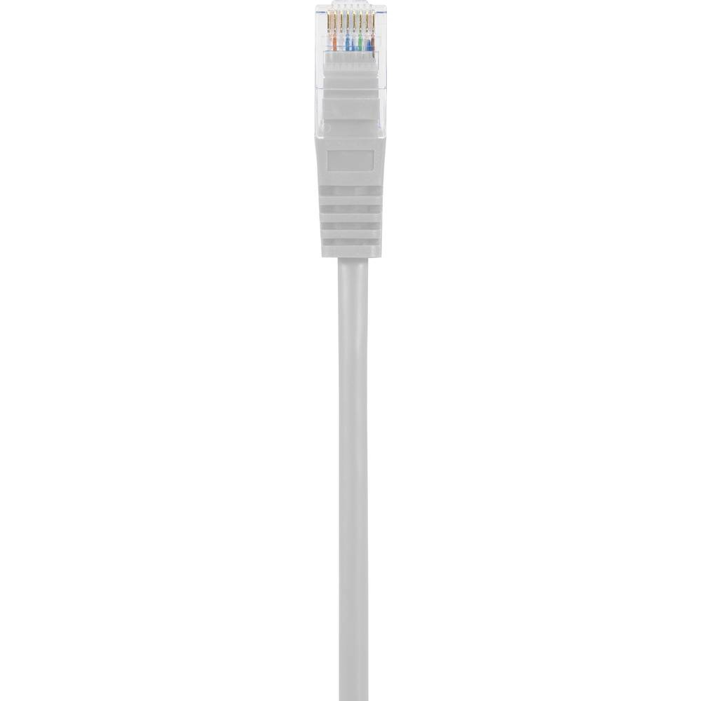 Cavo di rete bianco con connettore bianco.