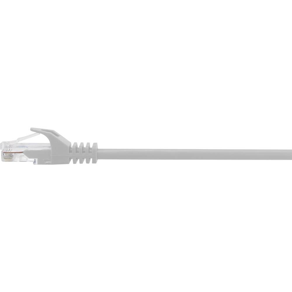Cavo ethernet grigio con connettore. Sfondo bianco.