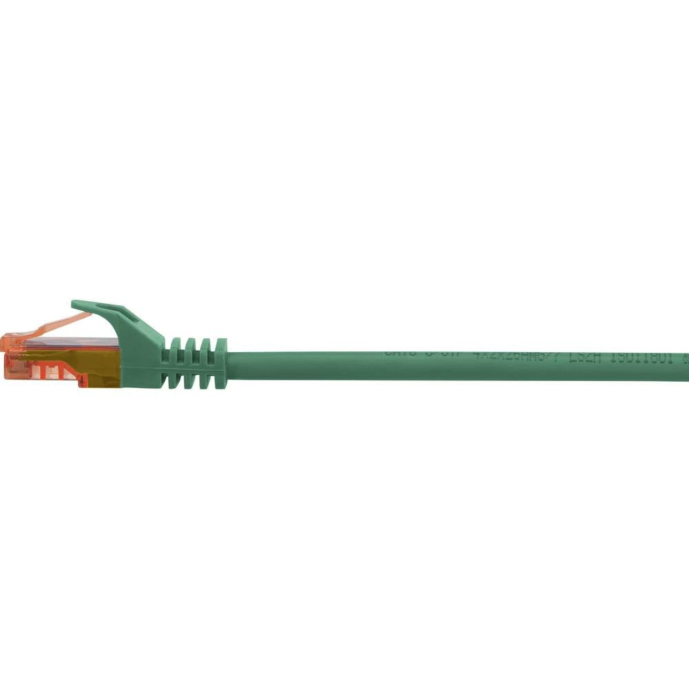 Cavo ethernet verde con connettore verde su sfondo bianco.