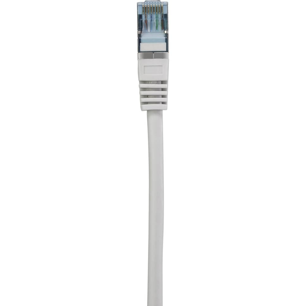 Cavo di rete bianco con connettore bianco.