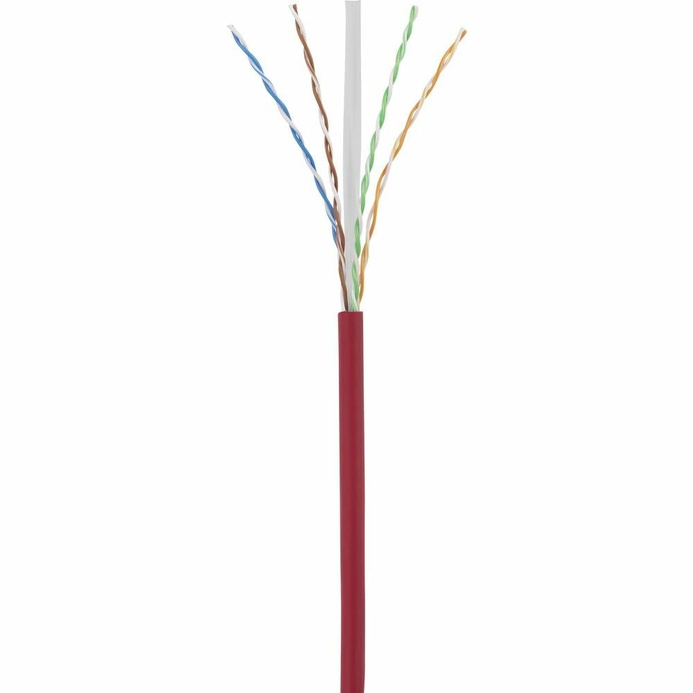 Un cavo di rete rosso si divide in cinque fili di colori diversi su uno sfondo bianco.
