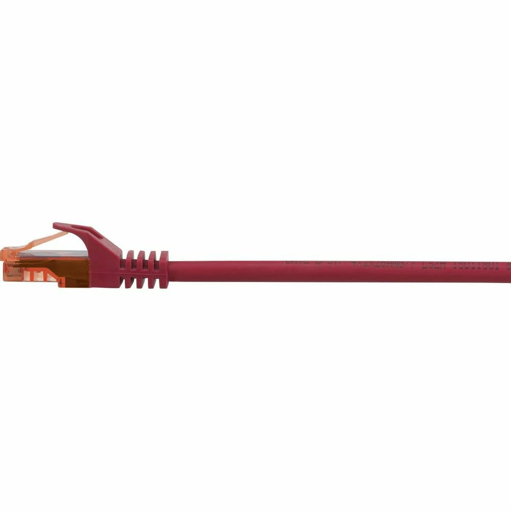 Cavo ethernet rosso con connettore rosso. Sfondo bianco.