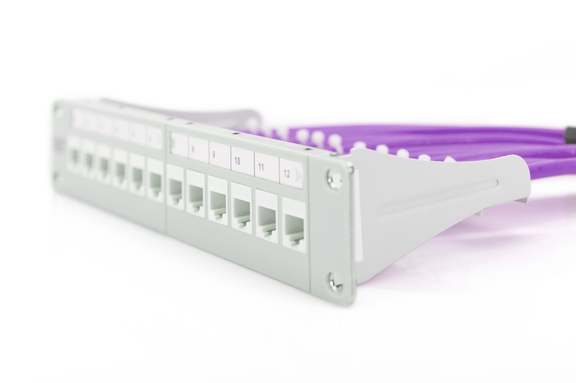 Un pannello di permutazione di rete con 12 porte numerate. Cavi di rete viola sono collegati.