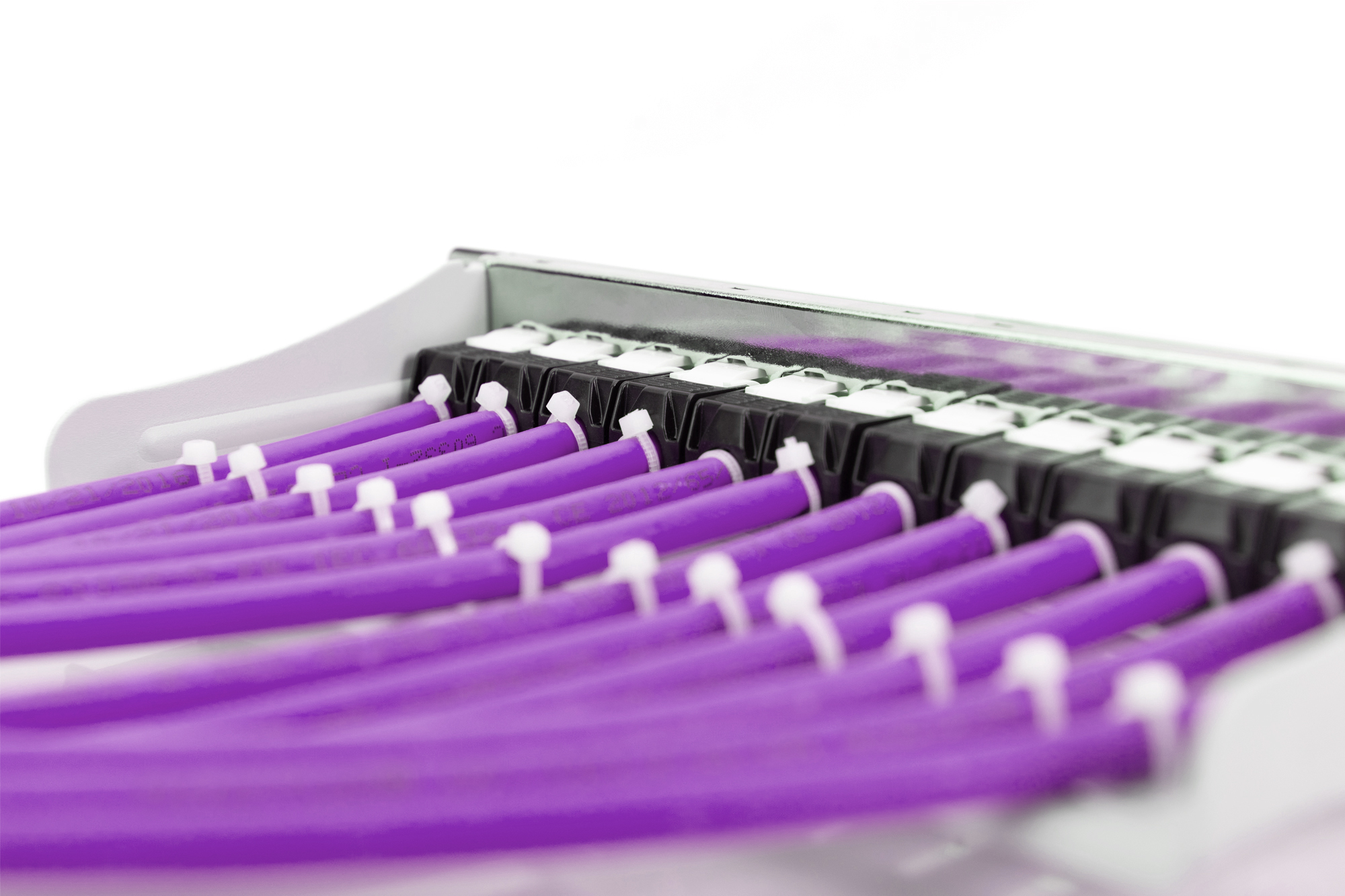 Primo piano di cavi di rete viola con fascette bianche in un rack.