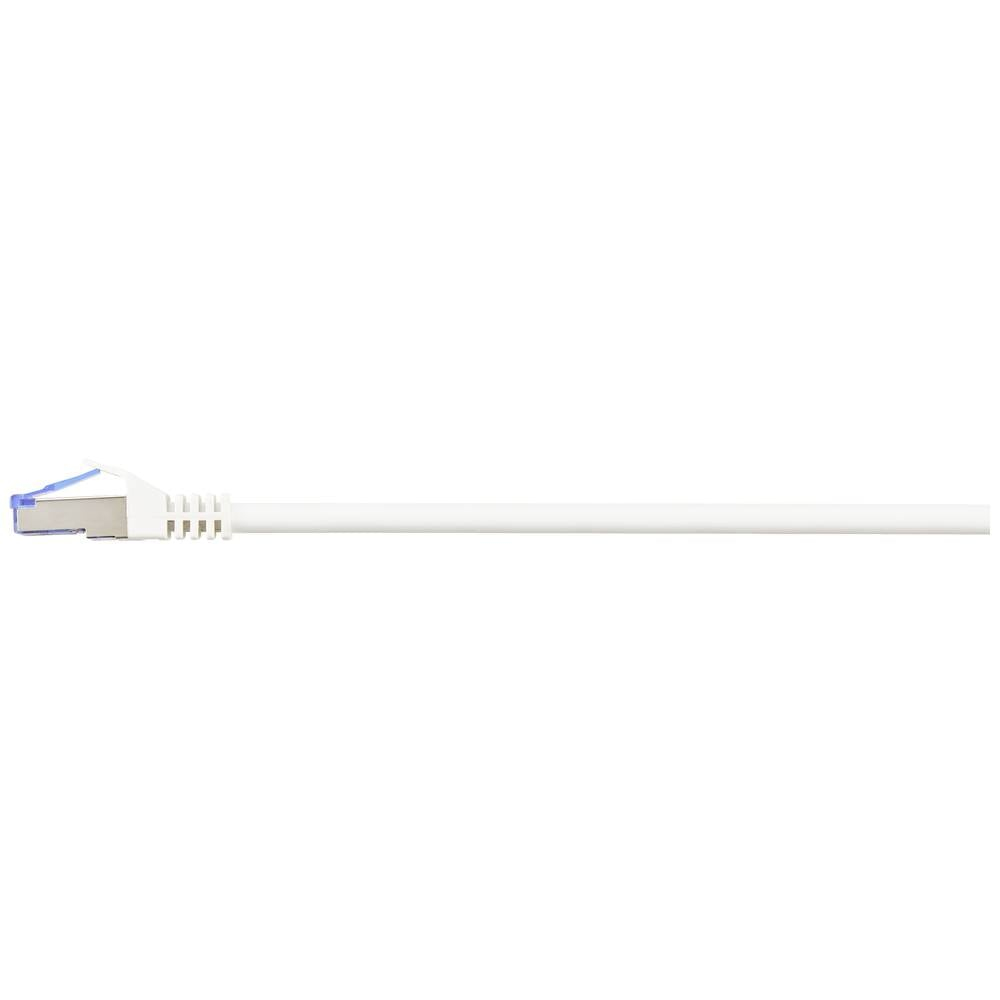 Cavo Ethernet bianco con connettore blu. Il cavo è orizzontale su sfondo bianco.