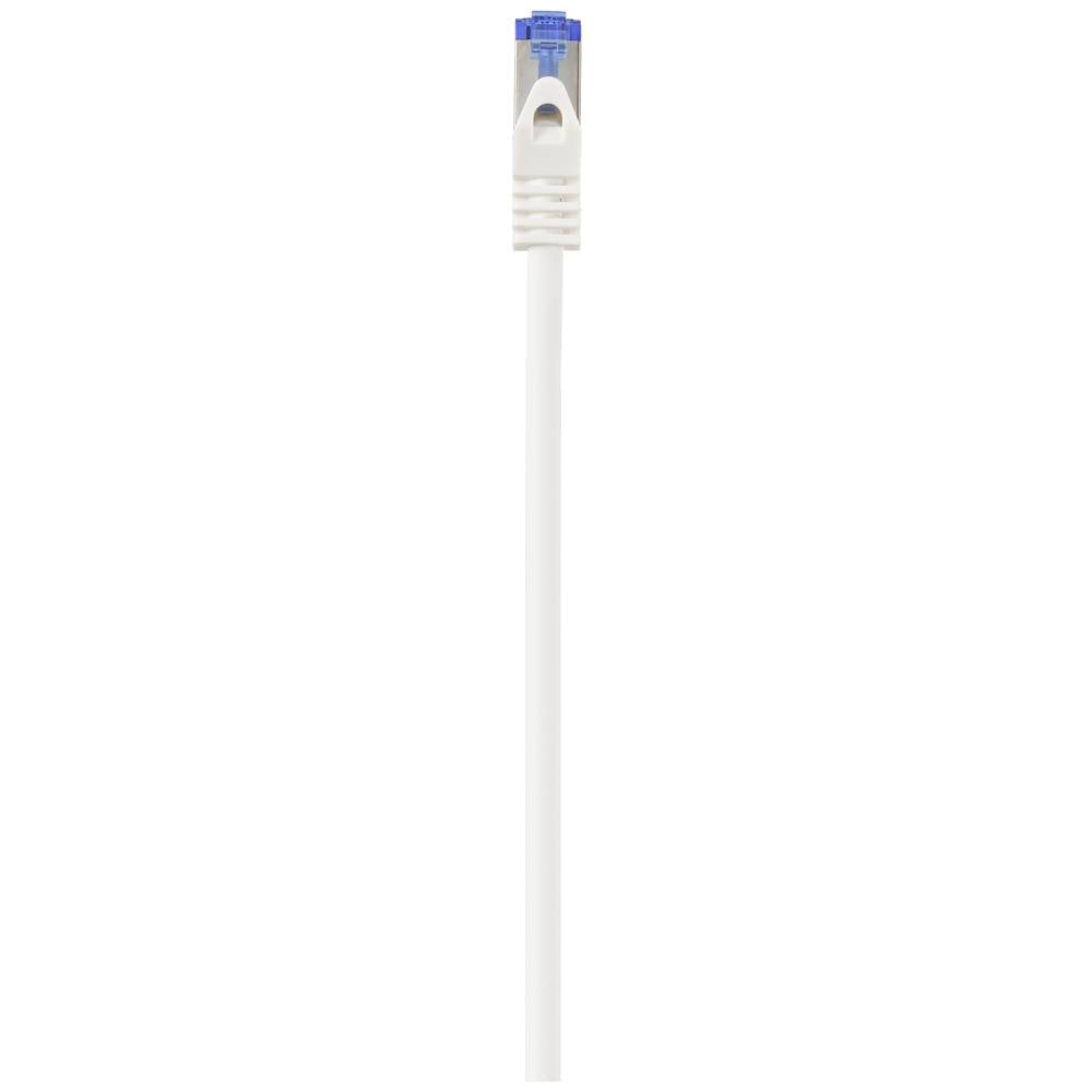 Cavo Ethernet bianco con connettore blu.