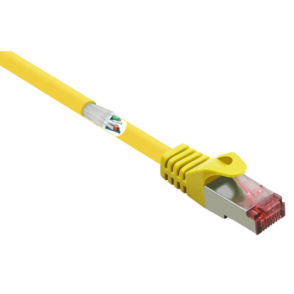Cavo Ethernet giallo con connettore rosso trasparente e fili interni esposti.