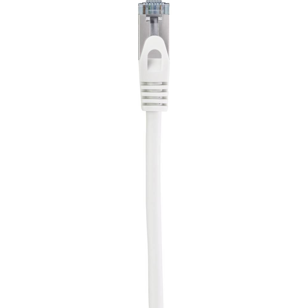 Primo piano di un connettore per cavo Ethernet bianco. Un cavo bianco con connettore trasparente.