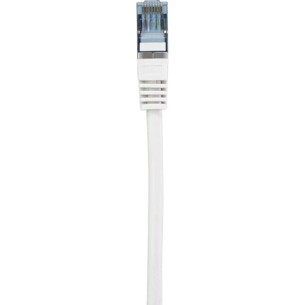 Cavo Ethernet bianco con connettore blu.