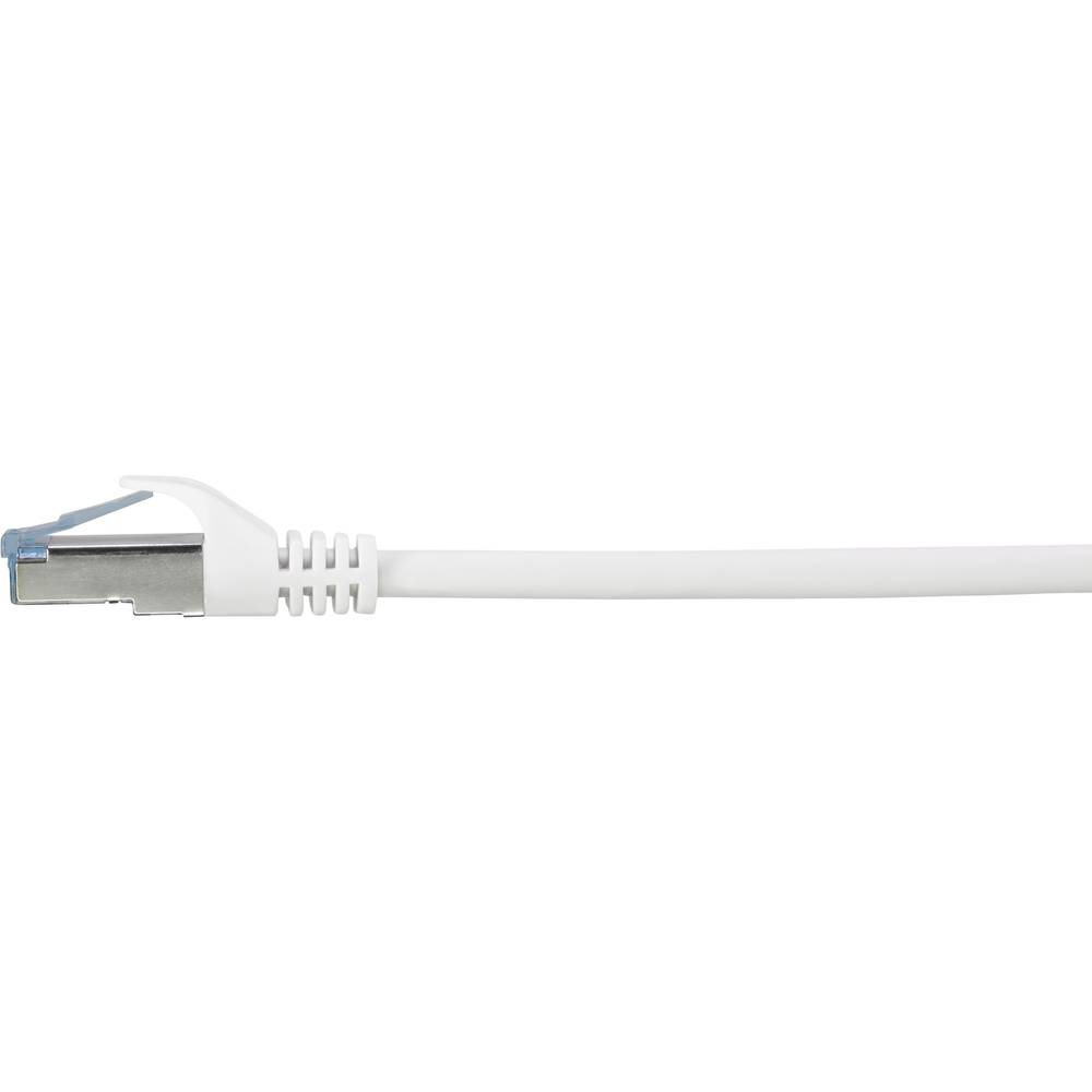 Un cavo ethernet bianco con un connettore blu è mostrato su uno sfondo bianco.