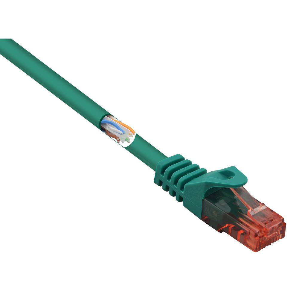 Cavo Ethernet verde con connettore verde e rosso, mostra i fili interni.