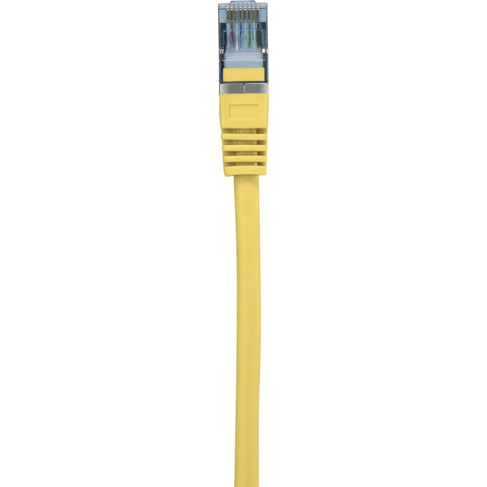 Cavo Ethernet giallo con connettore giallo, su sfondo bianco.