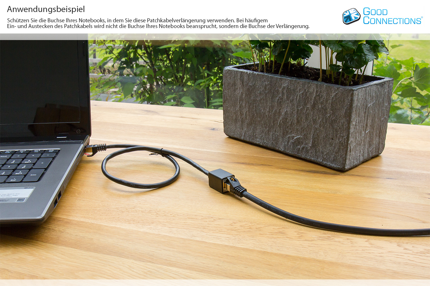 Kabel Ethernet podłączony do laptopa na drewnianym biurku.