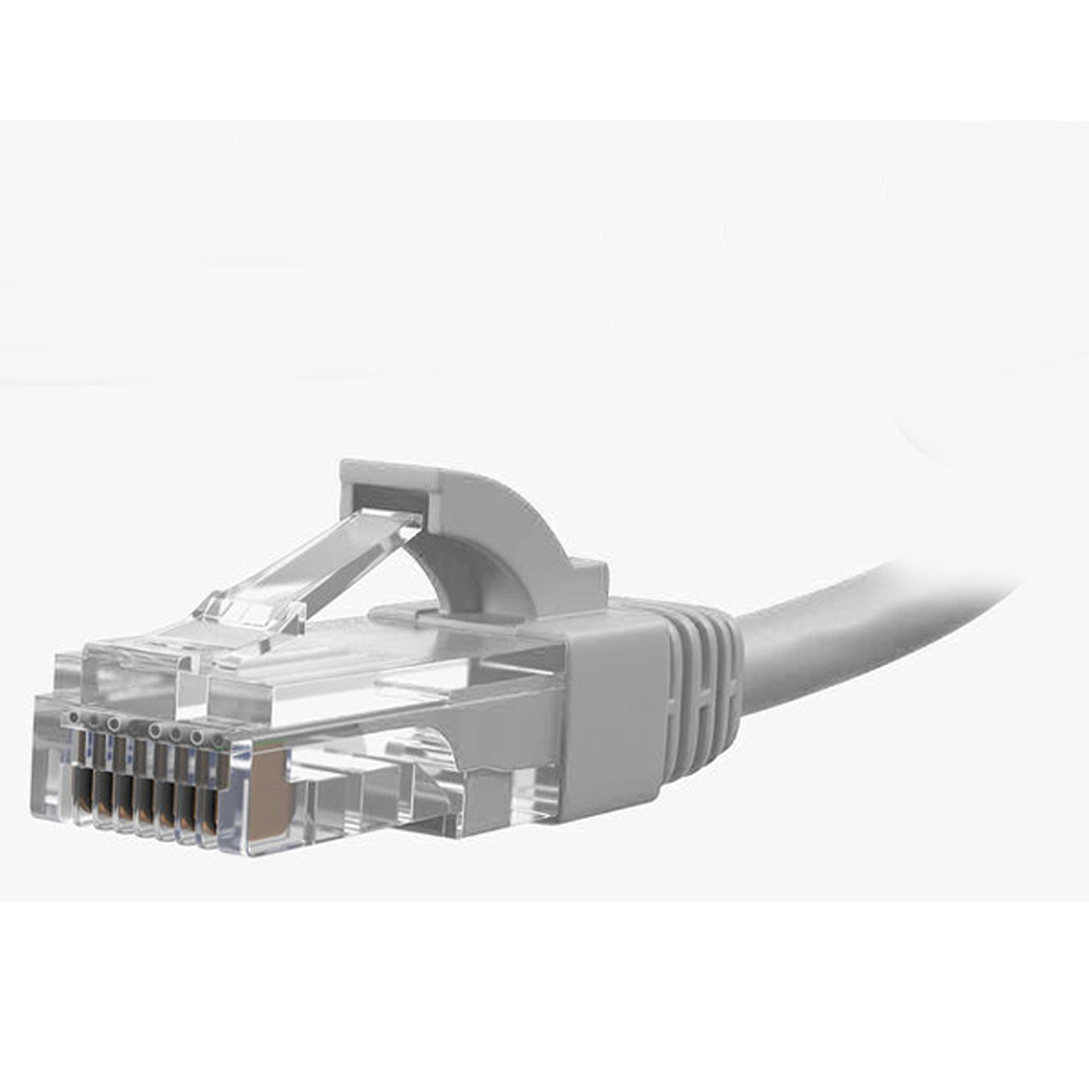 Connecteur de câble Ethernet gris avec clip plastique transparent sur fond blanc.