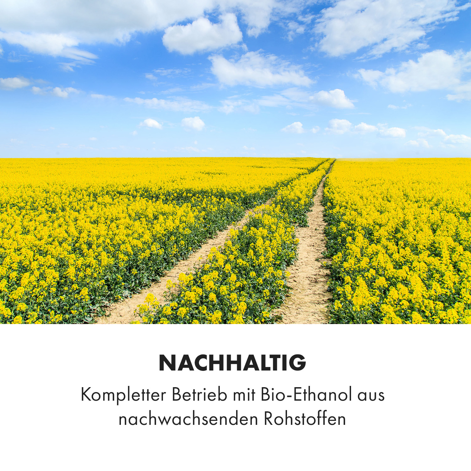 Ein Feld mit gelben Blumen und einem Feldweg. Blauer Himmel und weiße Wolken. Text: NACHHALTIG.