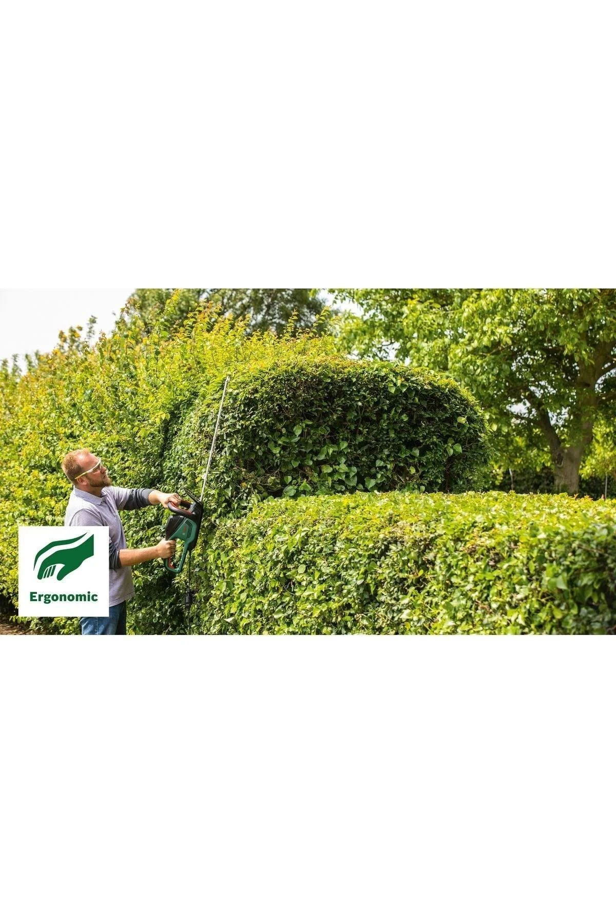 Ein Mann schneidet eine Hecke mit einem elektrischen Trimmer in einem Garten. Ein grünes Logo lautet 'Ergonomic'.