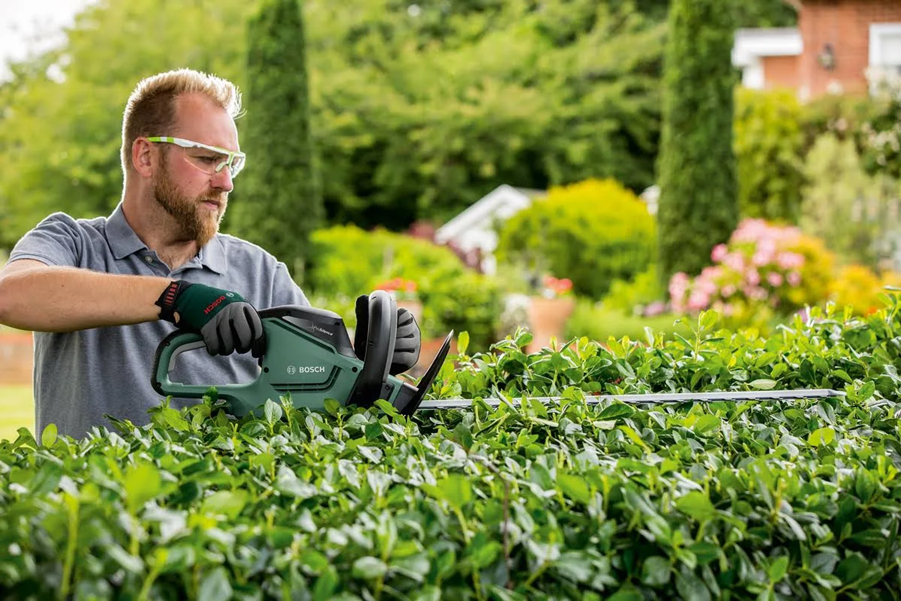 Mann schneidet Hecke mit Heckenschere, trägt Schutzbrille und Handschuhe.
