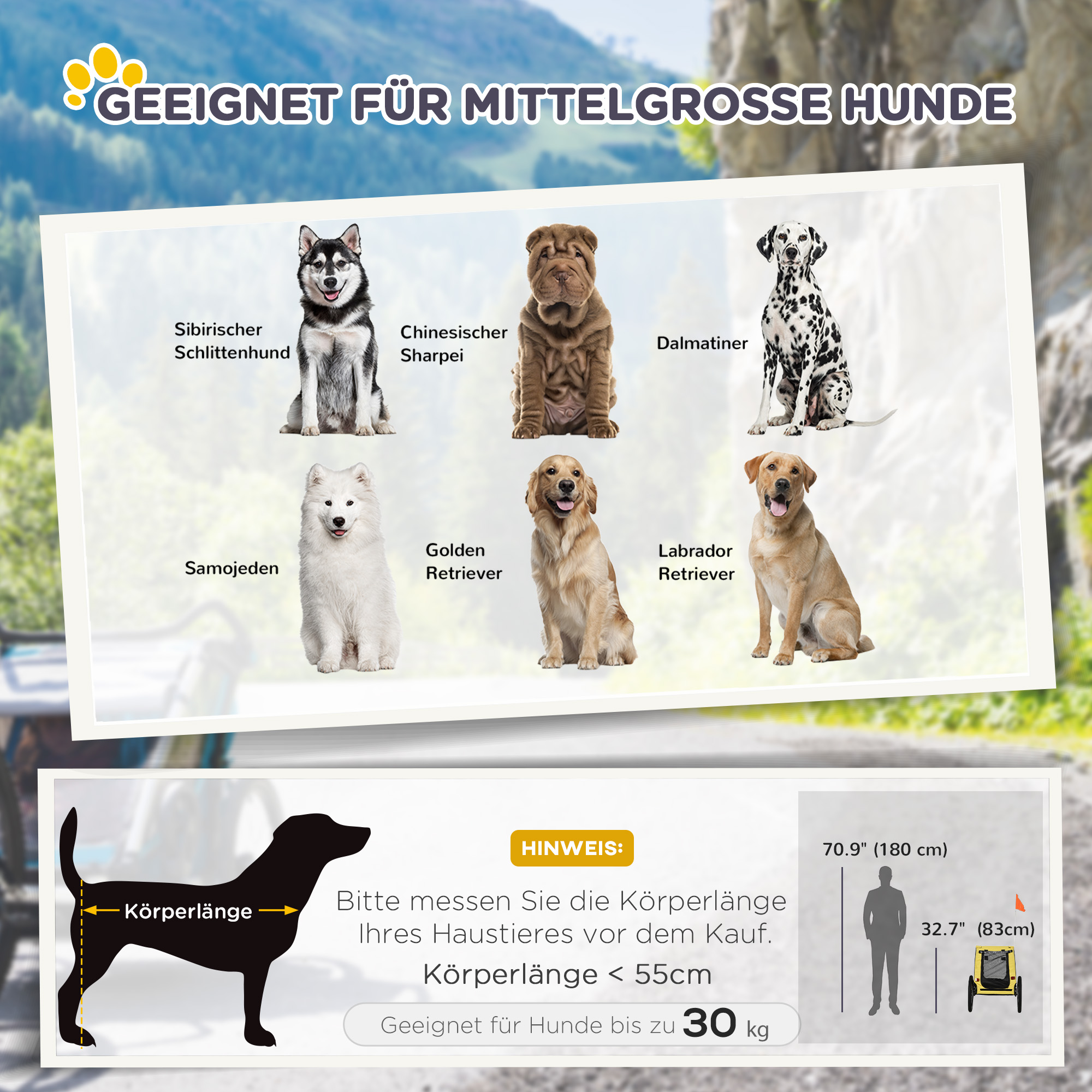 Bilder verschiedener Hunderassen: Siberian Husky, Shar Pei, Dalmatiner, Samojede, Golden Retriever, Labrador.