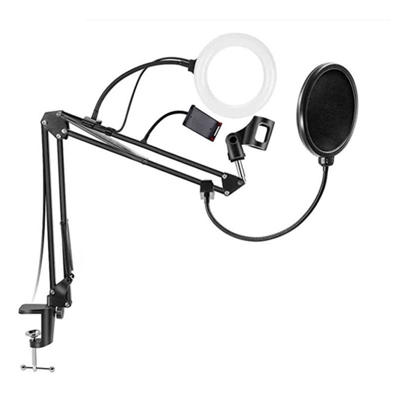 Ein verstellbarer Mikrofonständer mit Ringlicht und Pop-Filter.
