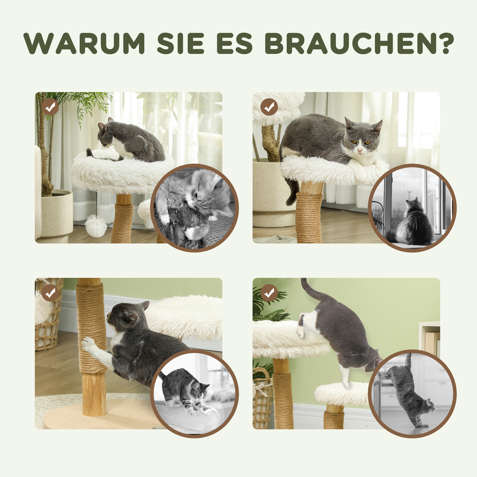 Katzen auf einem Kratzbaum, Textfelder mit Häkchen zeigen Gründe, warum sie ihn brauchen.