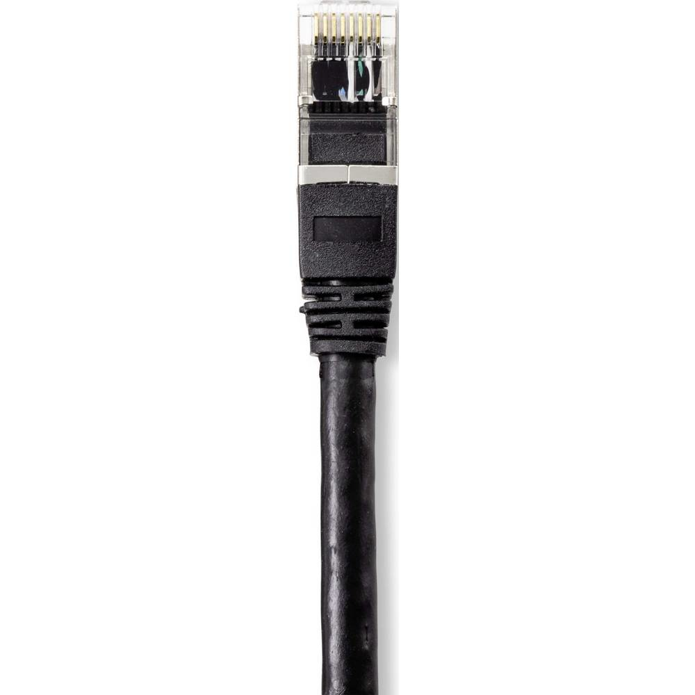 Cavo Ethernet nero con connettore trasparente su sfondo bianco, ripresa dettagliata.