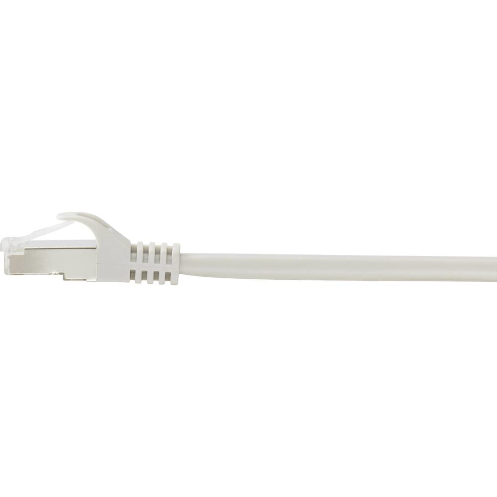 Cavo di rete bianco con connettore e clip bianchi, su sfondo bianco.
