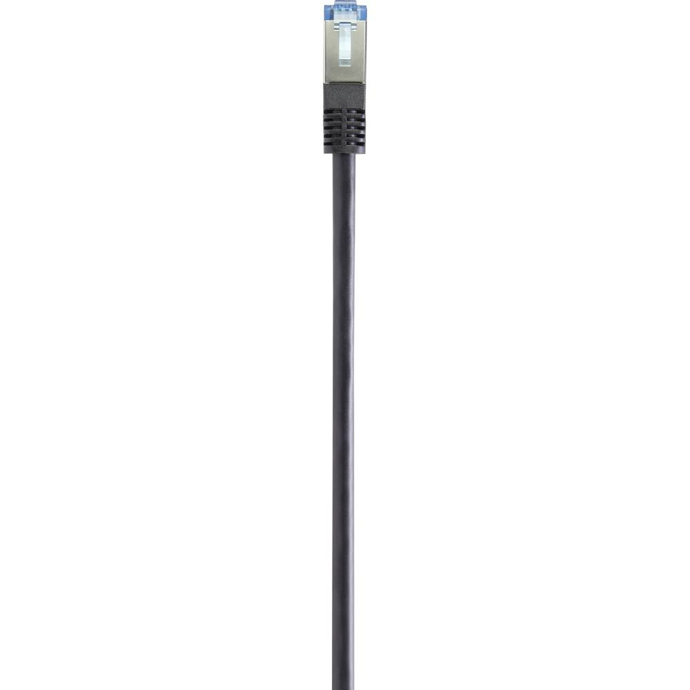 Cavo Ethernet nero con connettore argento e blu. Su sfondo bianco.