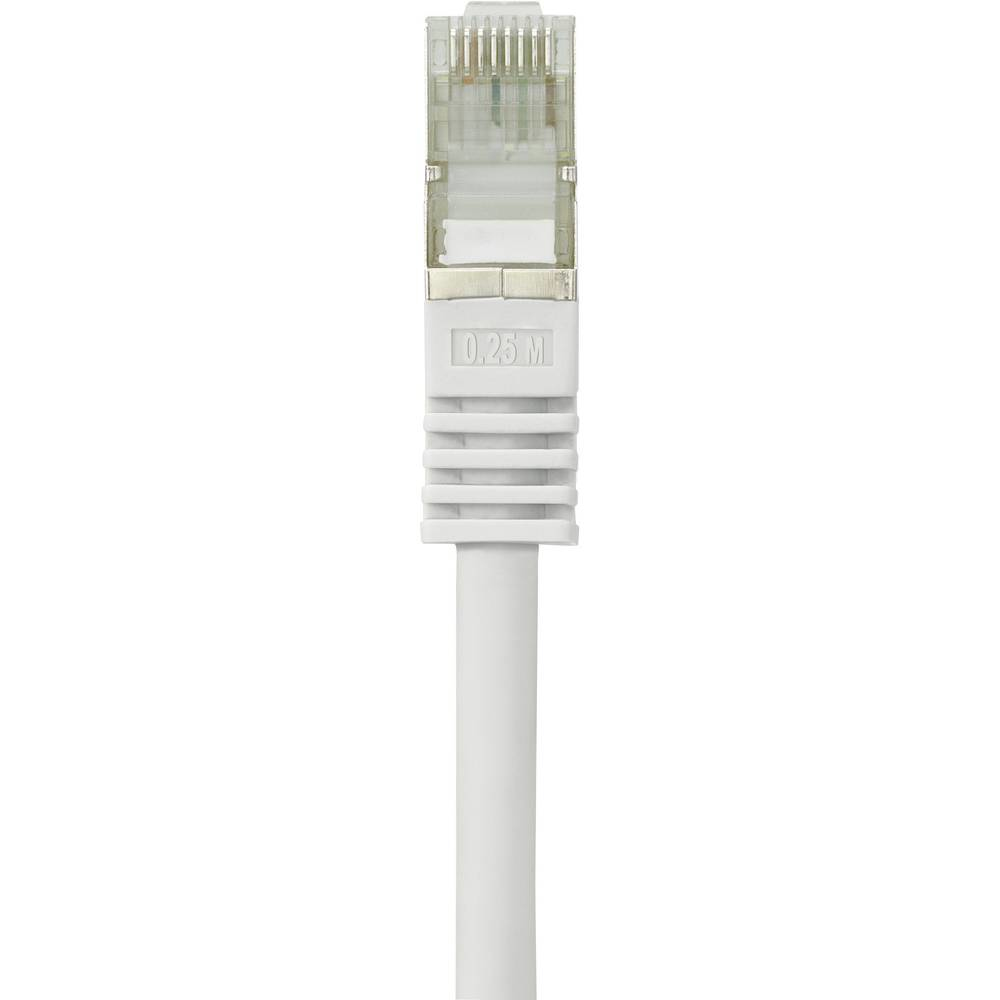 Un connettore per cavo di rete bianco. Il connettore è bianco e ha un pezzo di plastica trasparente all'estremità.