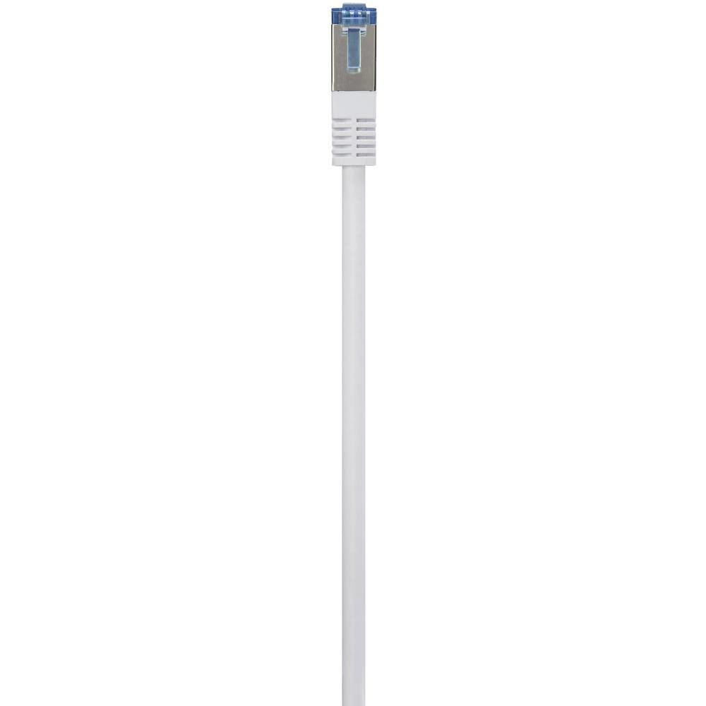 Cavo Ethernet bianco con connettore blu, primo piano, isolato su sfondo bianco.