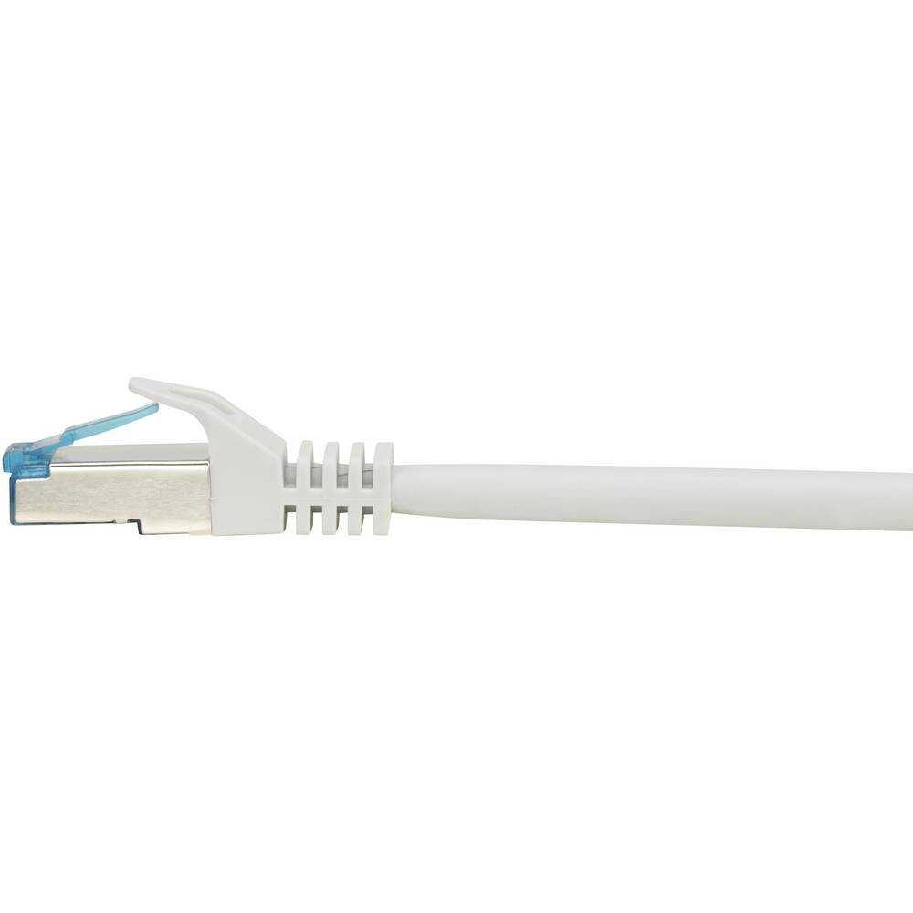 Cavo Ethernet bianco con connettore blu. Il connettore è in primo piano e a fuoco.