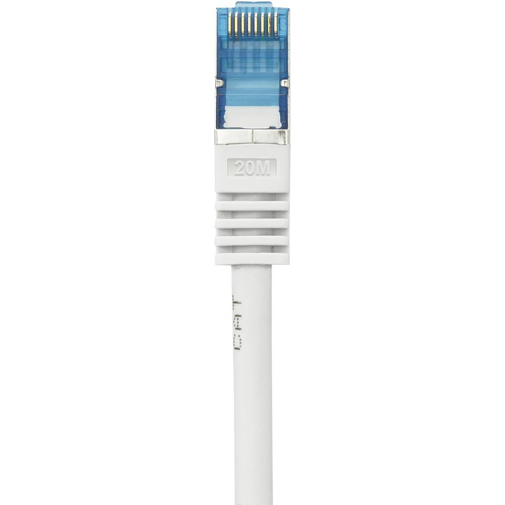 Un cavo Ethernet con connettore blu, isolato su sfondo bianco, primo piano.