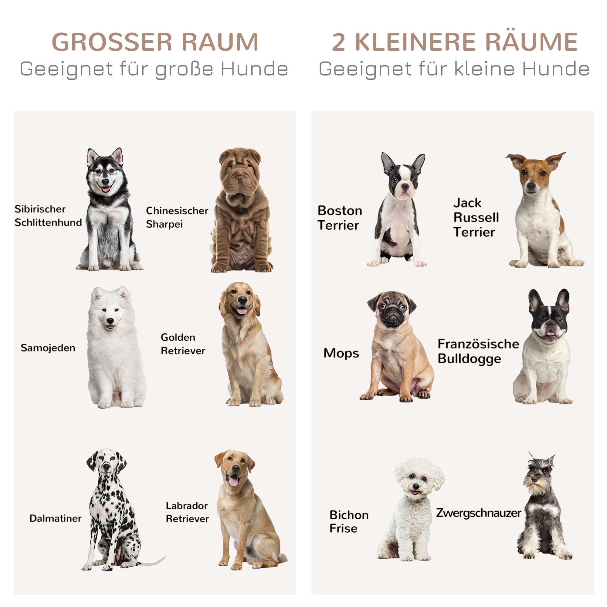 Verschiedene Hunderassen, klassifiziert nach Größe und Eignung für große/kleine Räume.