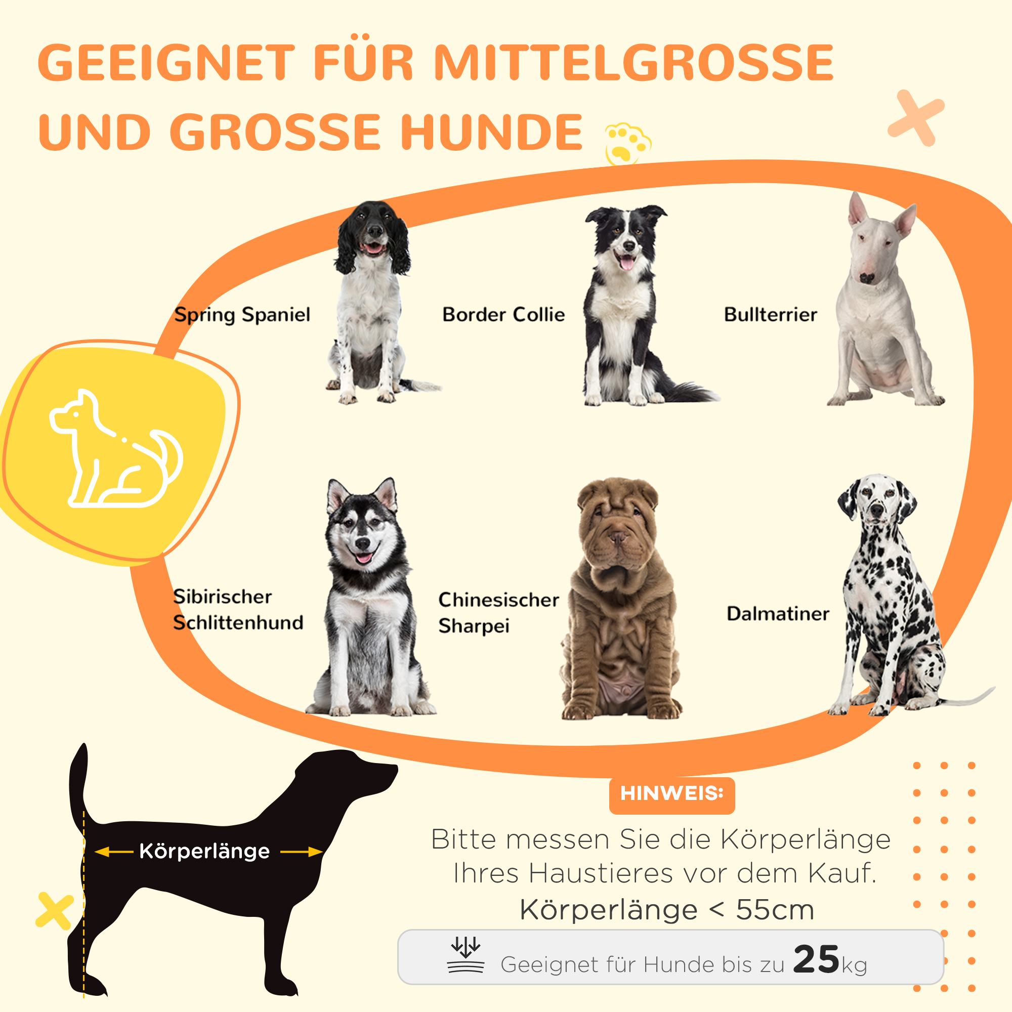 Diagramm, das für mittelgroße und große Hunde geeignete Hunderassen zeigt. Zu den Rassen gehören Spaniel, Collie, Bullterrier usw.
