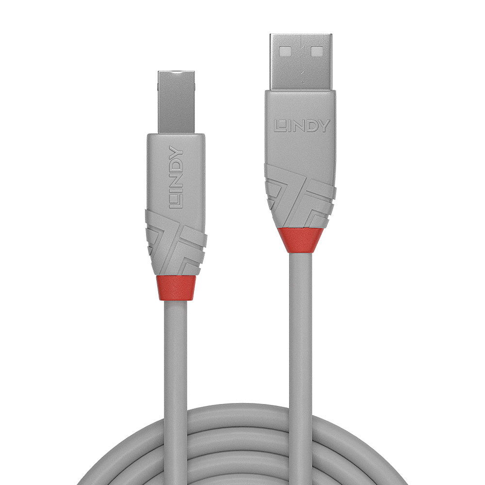 Grijze USB-kabel met een rode accent op beide connectoren. De merknaam 'LINDY' is zichtbaar.