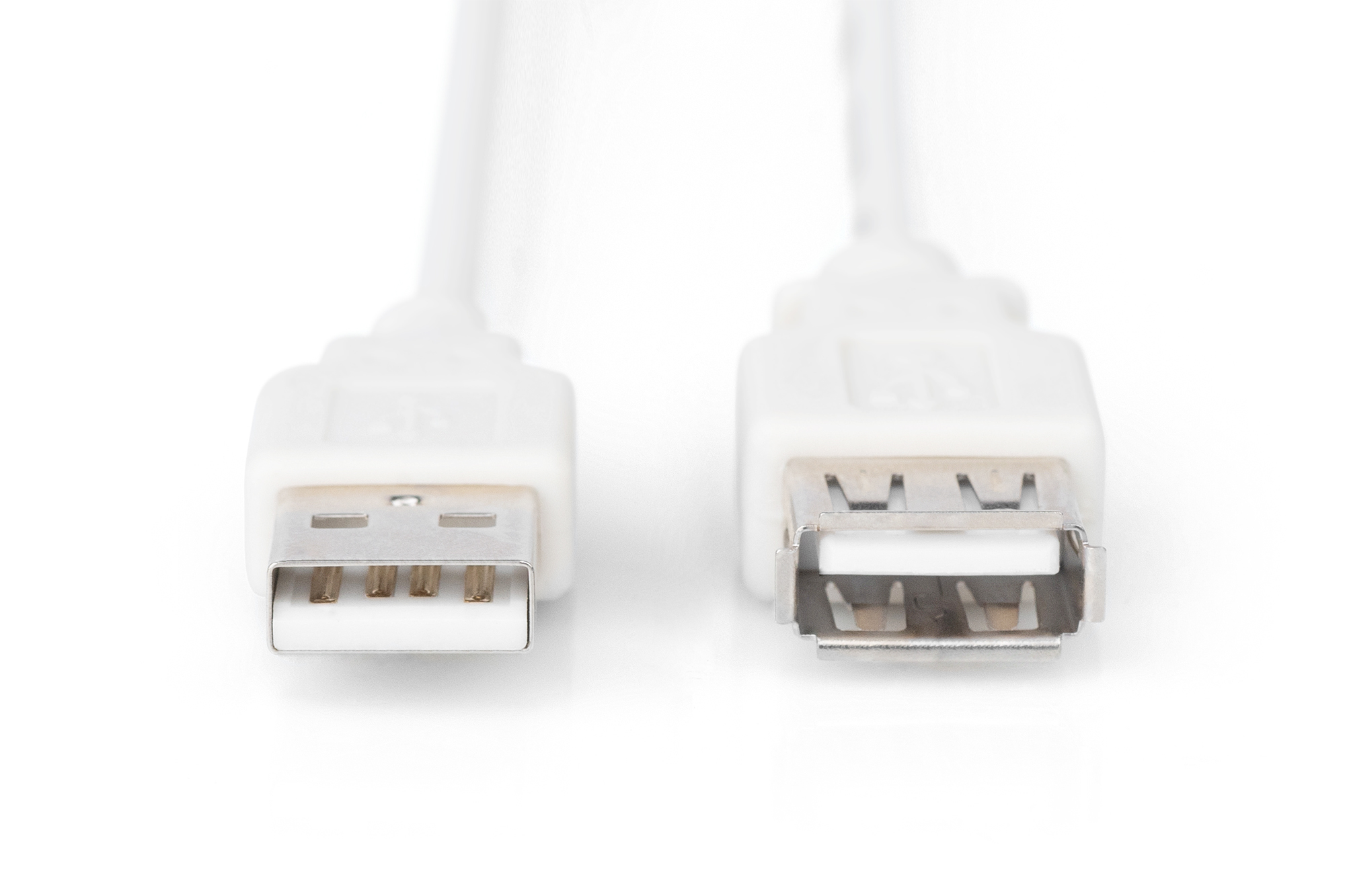 Due connettori USB bianchi, uno maschio e uno femmina, affiancati su sfondo bianco.