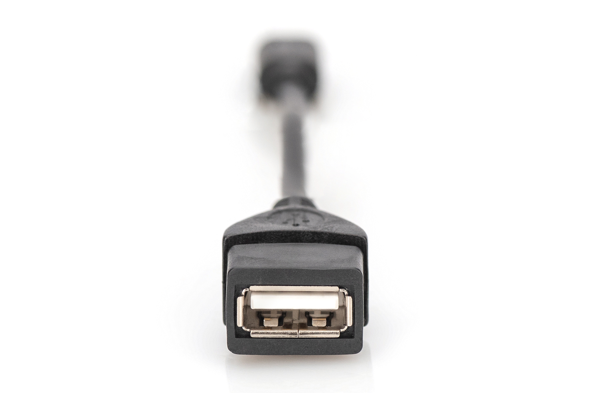 Adattatore USB a USB femmina nero, visto dal lato del connettore femmina, su sfondo bianco.