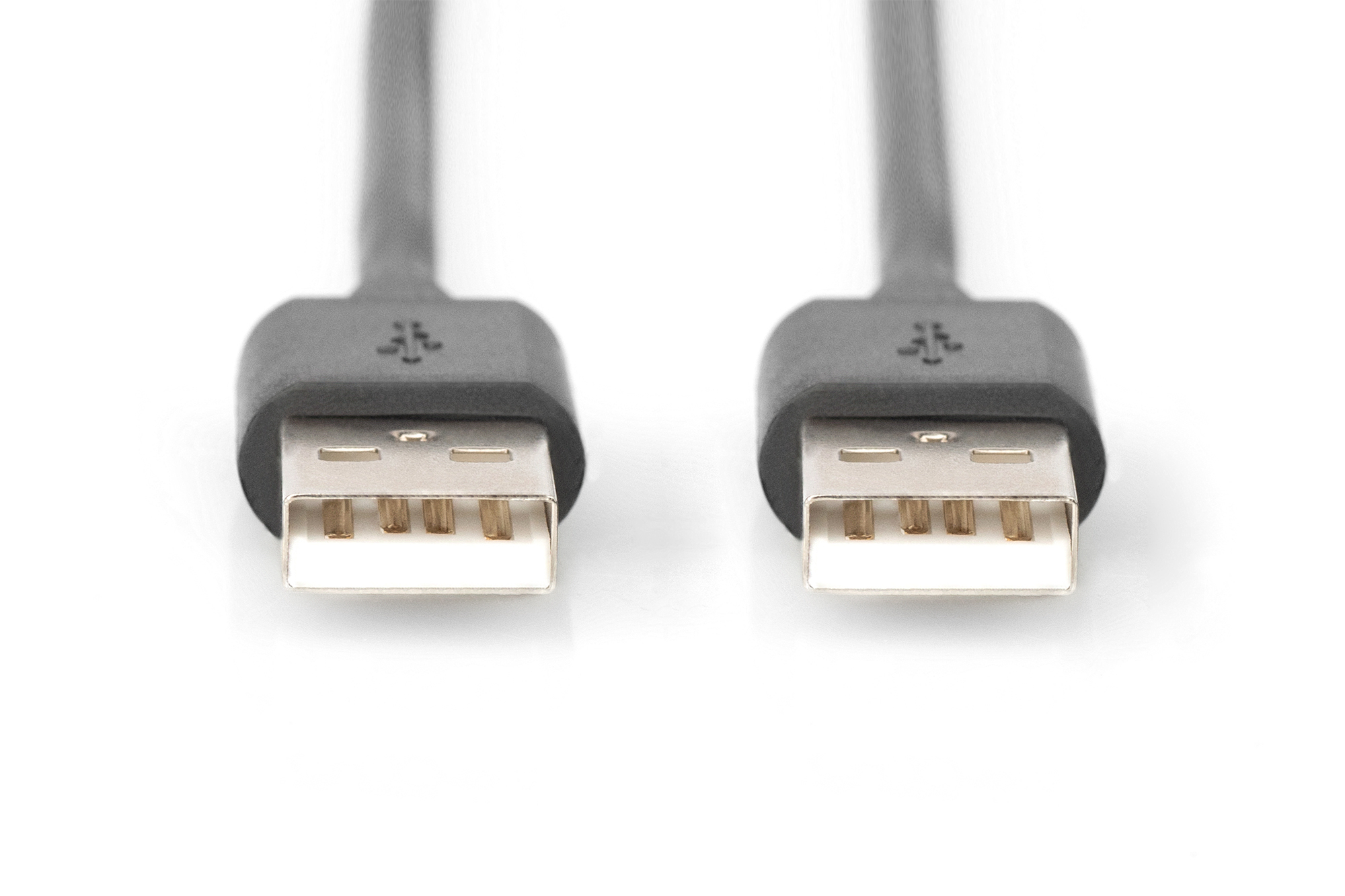 Gros plan de deux connecteurs USB. Ils sont gris avec des inserts métalliques argentés, sur fond blanc.