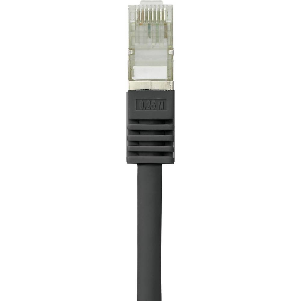 Cavo di rete grigio con connettore trasparente su sfondo bianco.