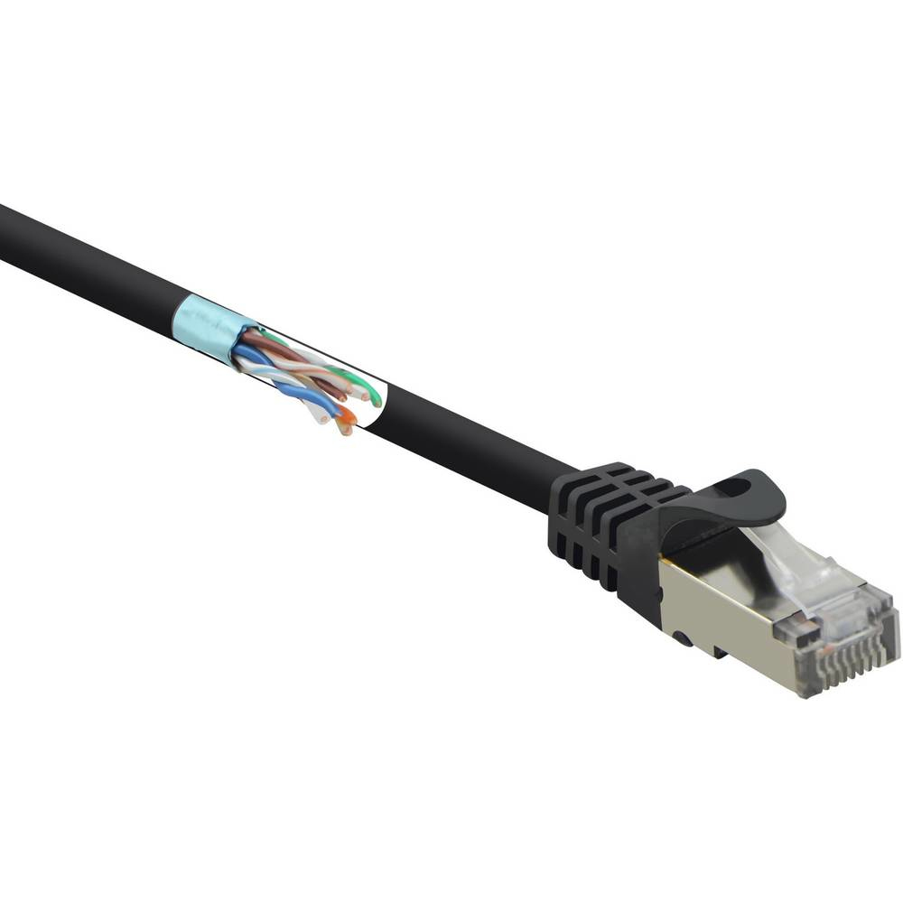 Cavo di rete nero con connettore RJ45 trasparente. Fili interni visibili. Sfondo bianco.